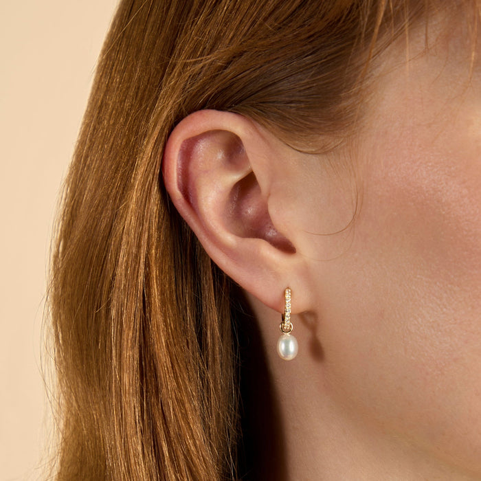 Solid Gold Earrings