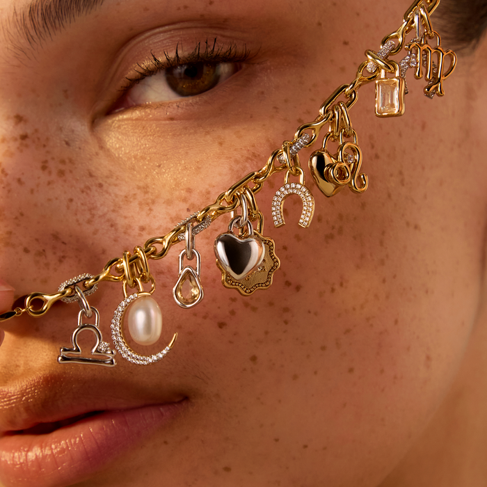 Zodiac Charms