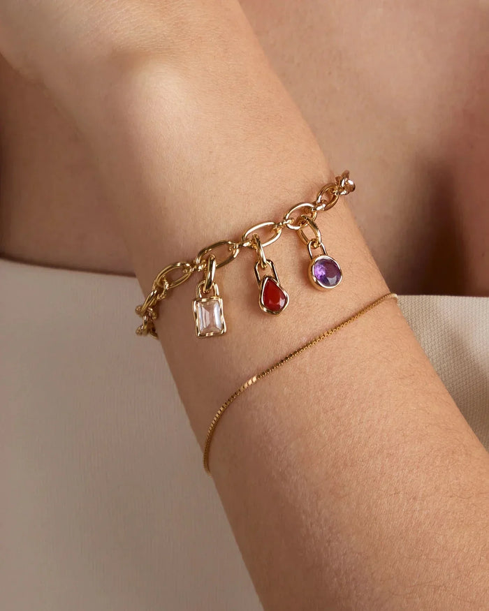 Clip Charm Compatible Products