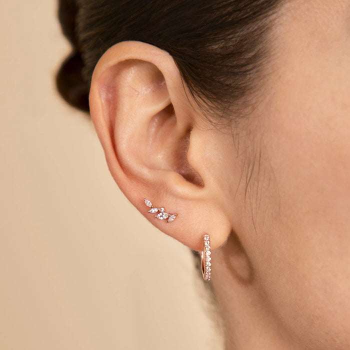 Rose Gold Earrings