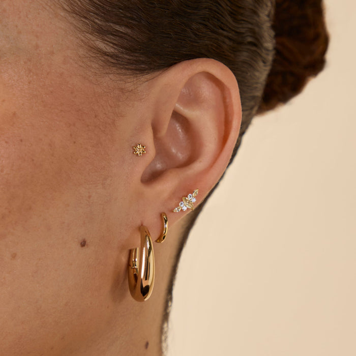 Tragus worn imagery sort