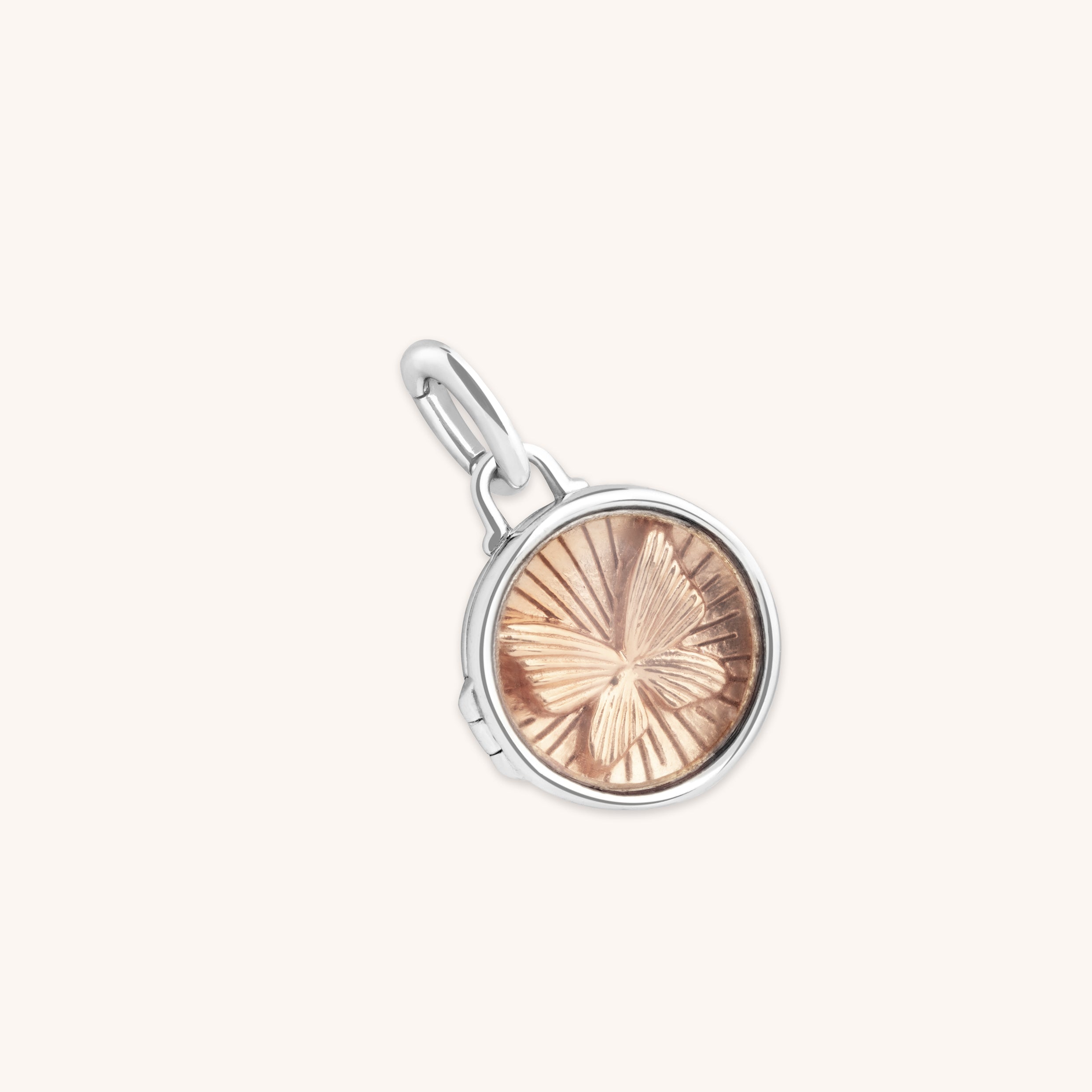 Butterfly Clip Charm in Silver