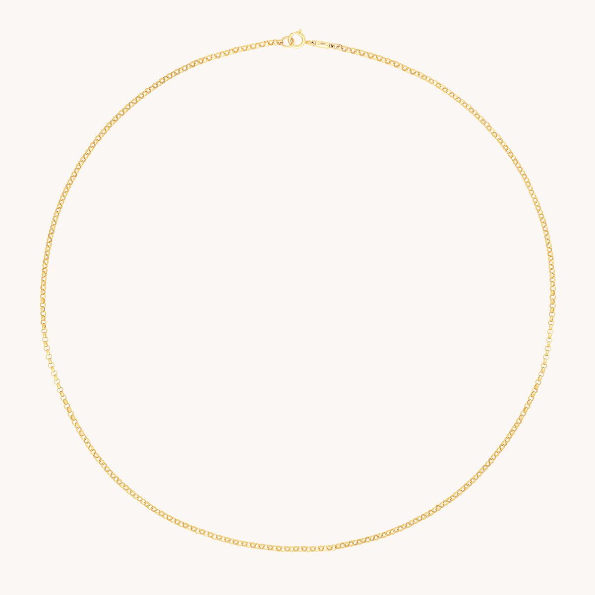 Chelsea Chain Necklace in Solid Gold