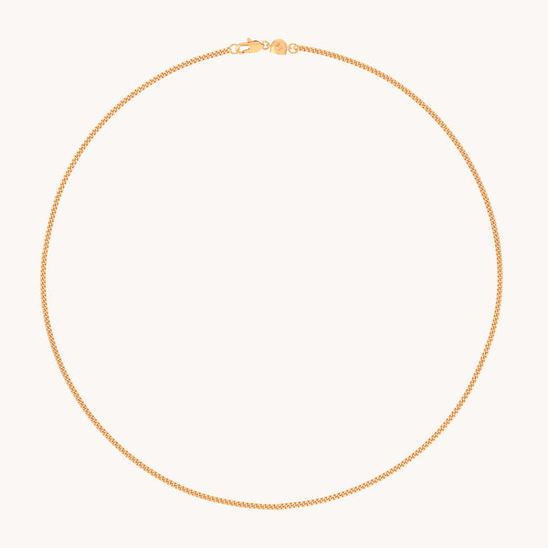 Essential Curb Chain Necklace in Gold