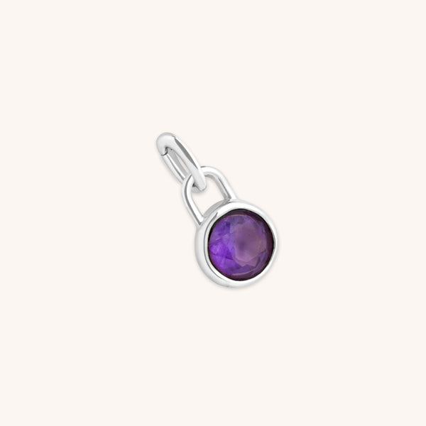 Amethyst February Clip Charm in Silver