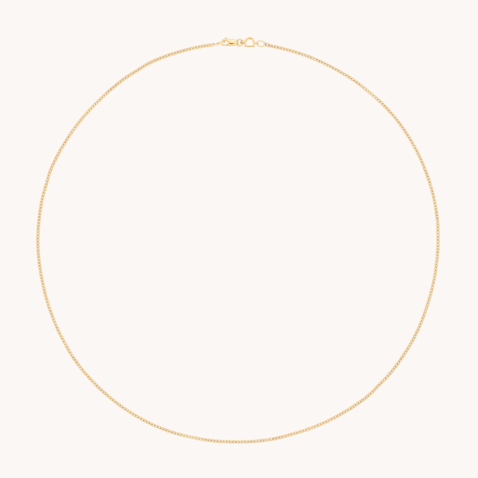 Bold Miyu Chain Necklace in Solid Gold