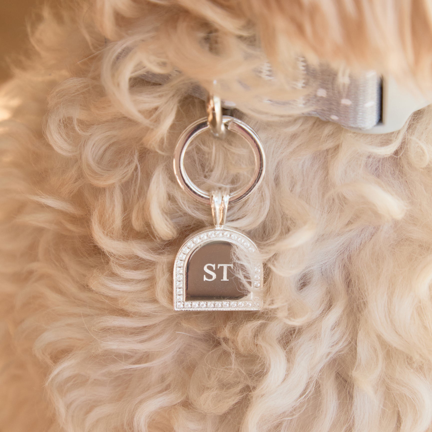 Pavé Arch Pet Tag in Silver