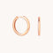 18k Rose Gold Plated Jewellery - Essential Medium Hoops in Rose Gold - Hoop Earrings - Astrid &amp; Miyu