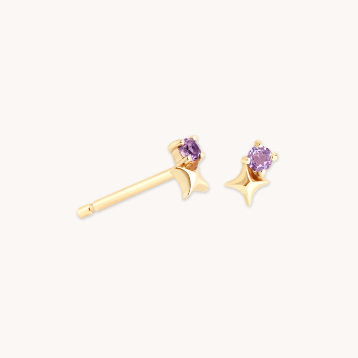 February Birthstone Earrings in Solid Gold