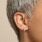 18k Gold Plated Jewellery - Essential Crystal Small Hoops in Gold - Hoop Earrings - Astrid &amp; Miyu