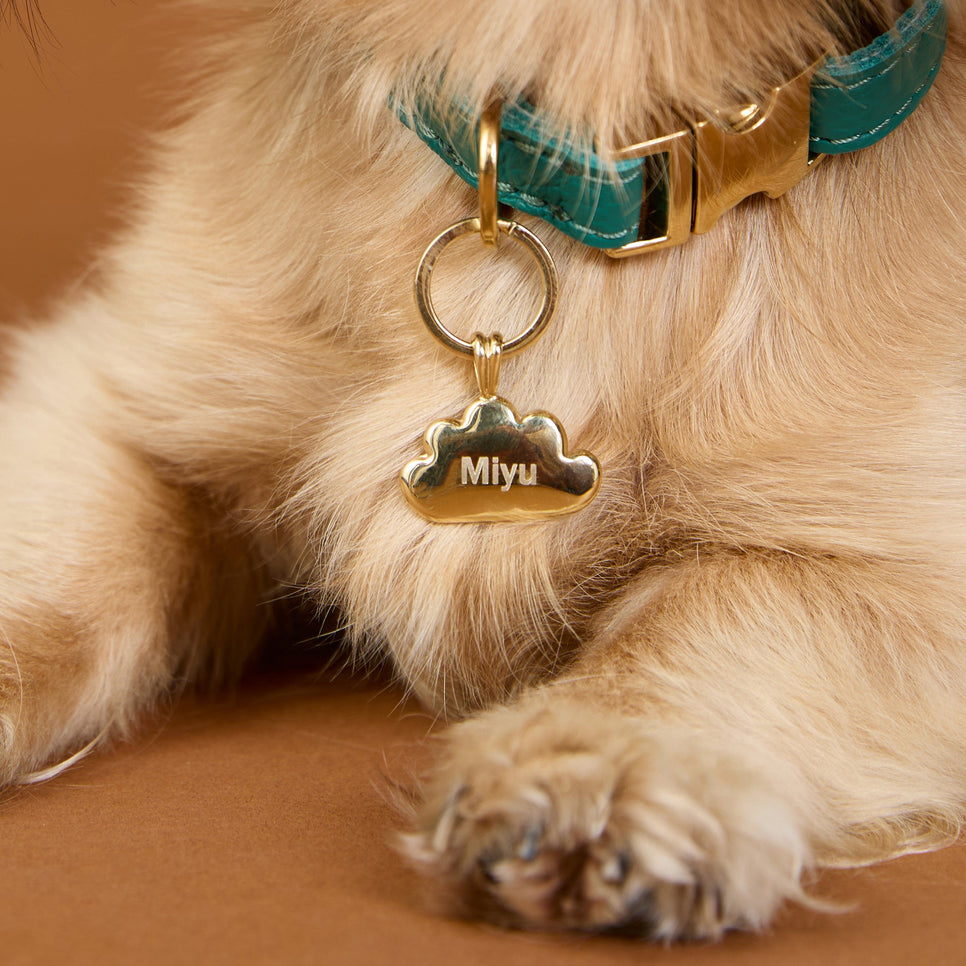 Cloud Pet Tag in Gold