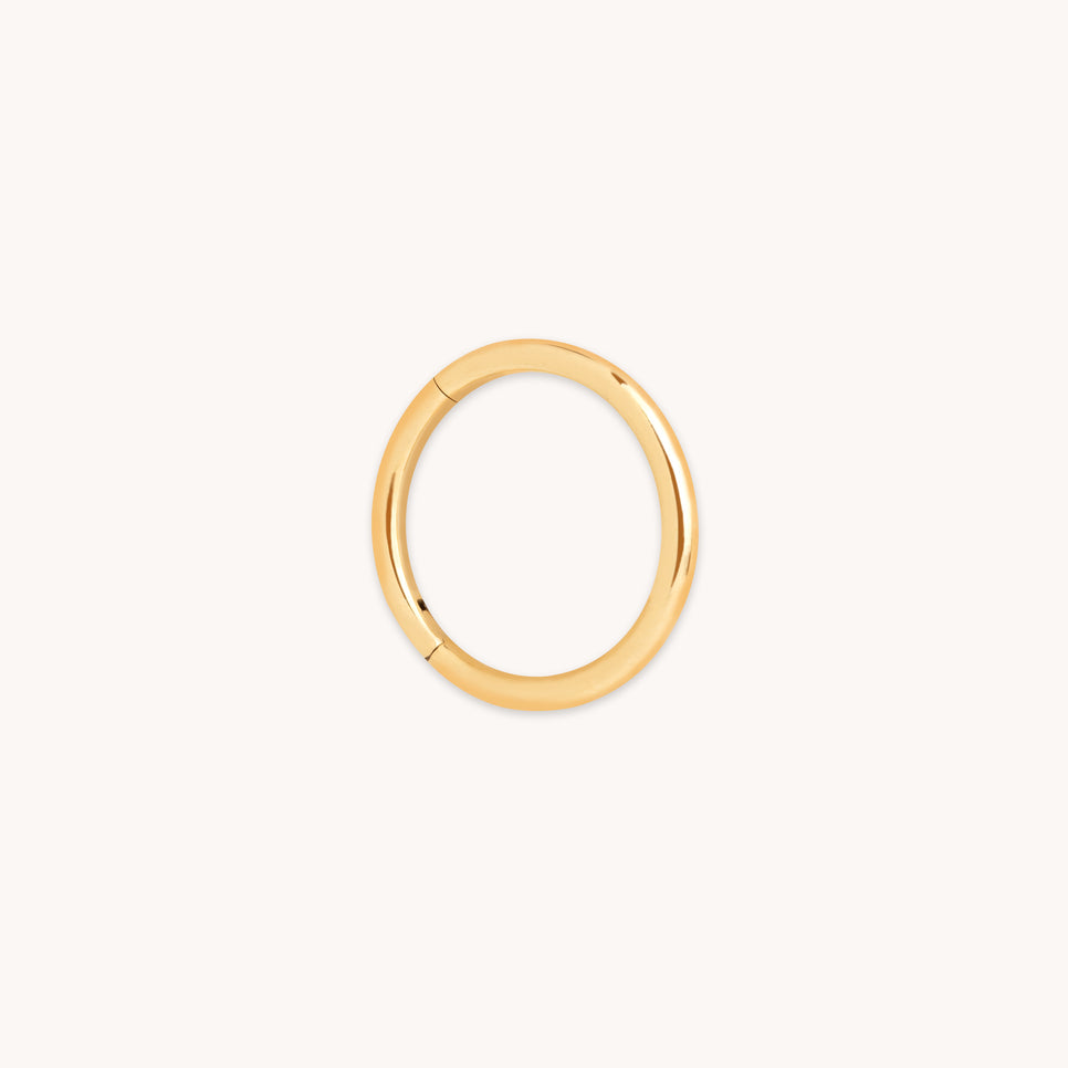 Titanium Seamless Hoop