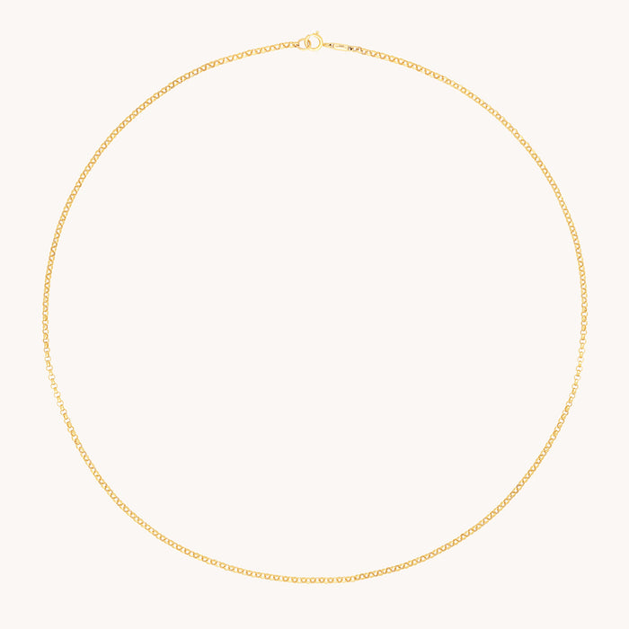 Chelsea Chain Necklace in Solid Gold