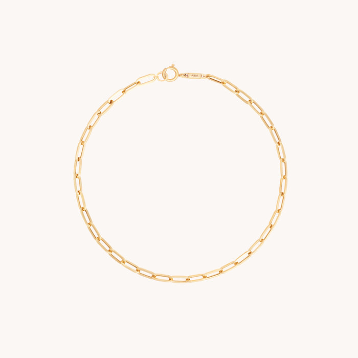 Piccadilly Chain Bracelet in Solid Gold