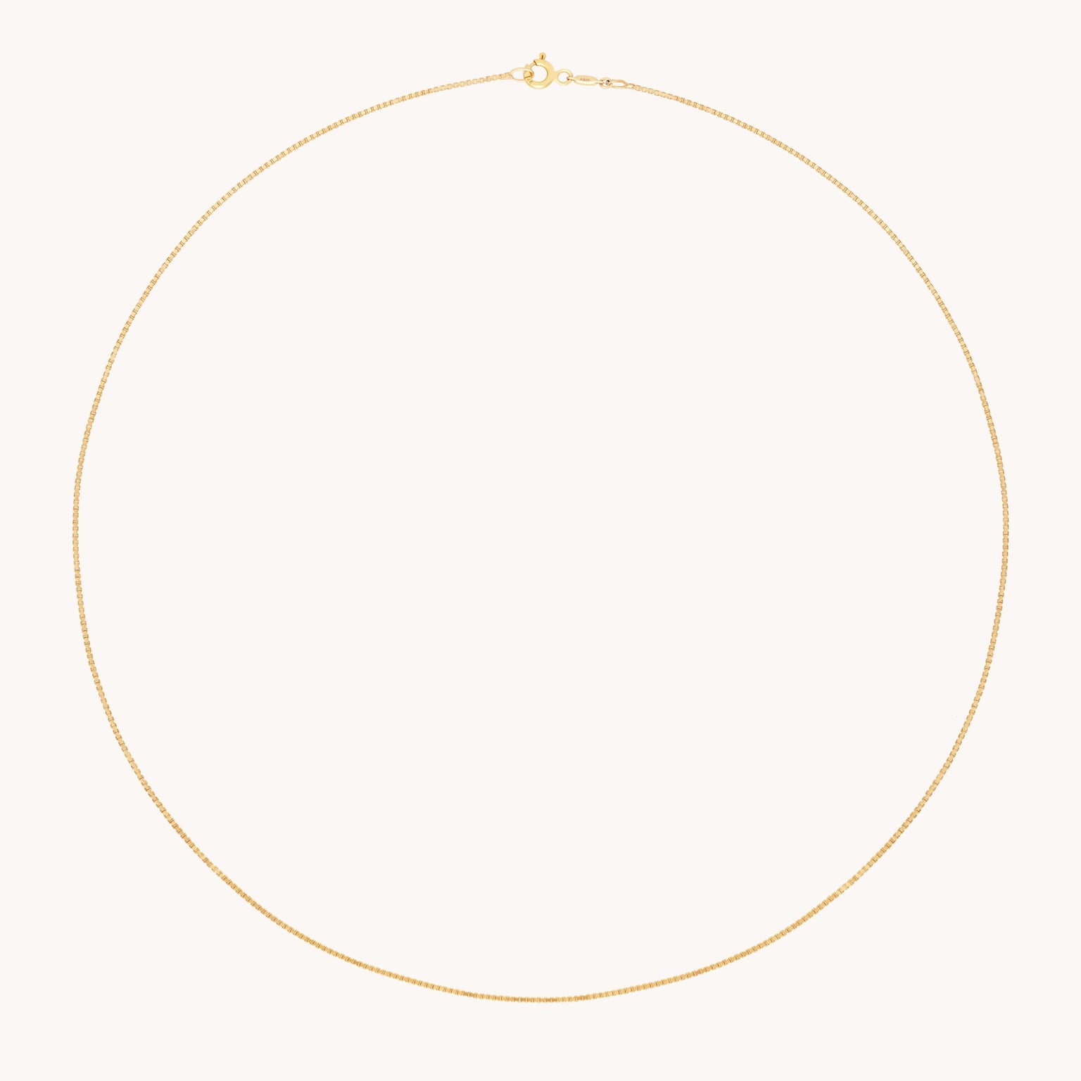 Shoreditch Chain Necklace in Solid Gold