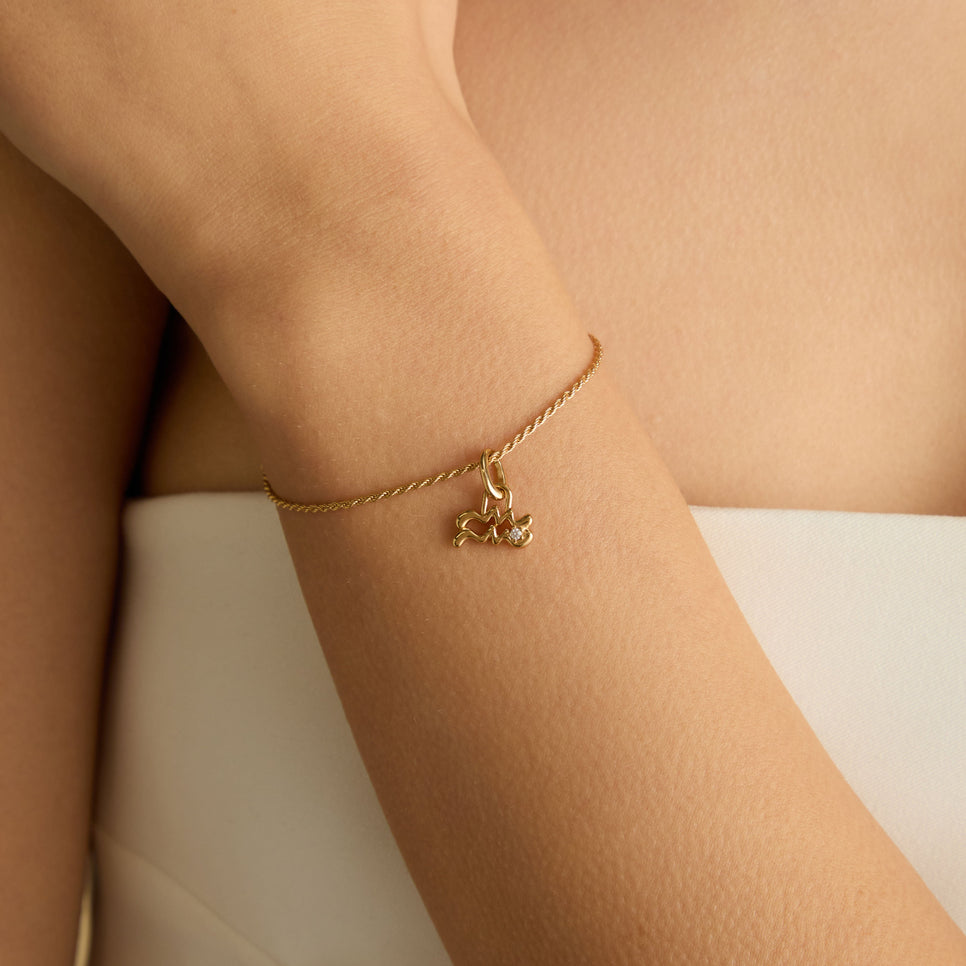 18k Gold Plated Jewellery - Aquarius Zodiac Talisman Charm in Gold - Talisman Charm - Astrid &amp; Miyu