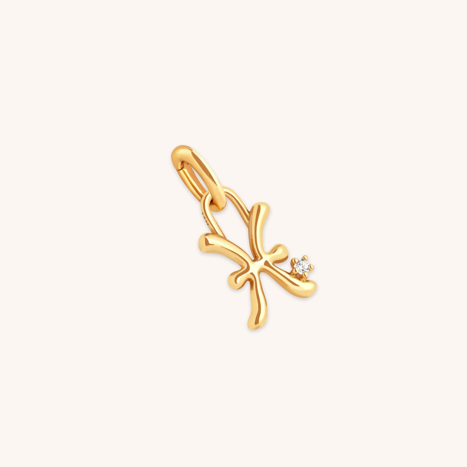 Pisces Zodiac Talisman Charm in Gold