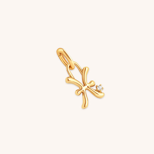 18k Gold Plated Jewellery - Pisces Zodiac Talisman Charm in Gold - Talisman Charm - Astrid &amp; Miyu