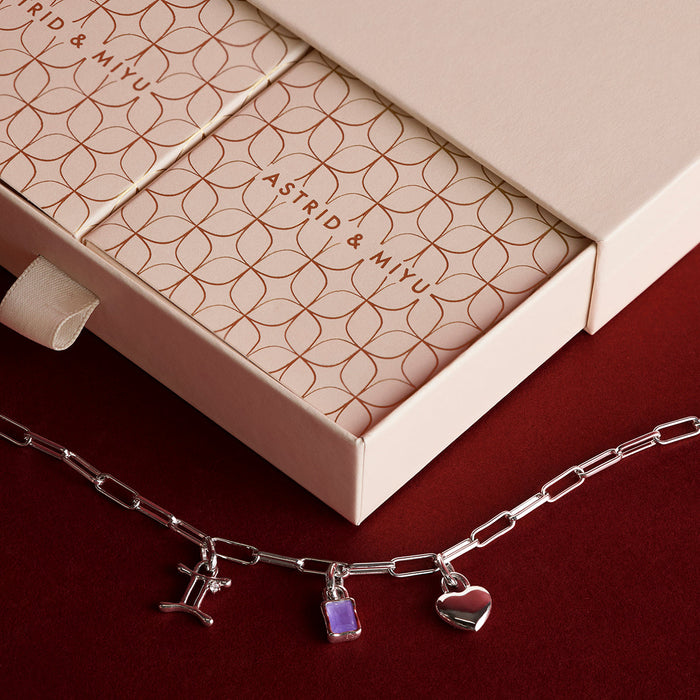Piccadilly Bracelet Charming Gift Set in Silver