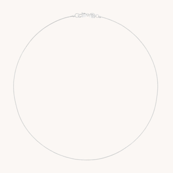 Essential Box Chain Necklace in Silver