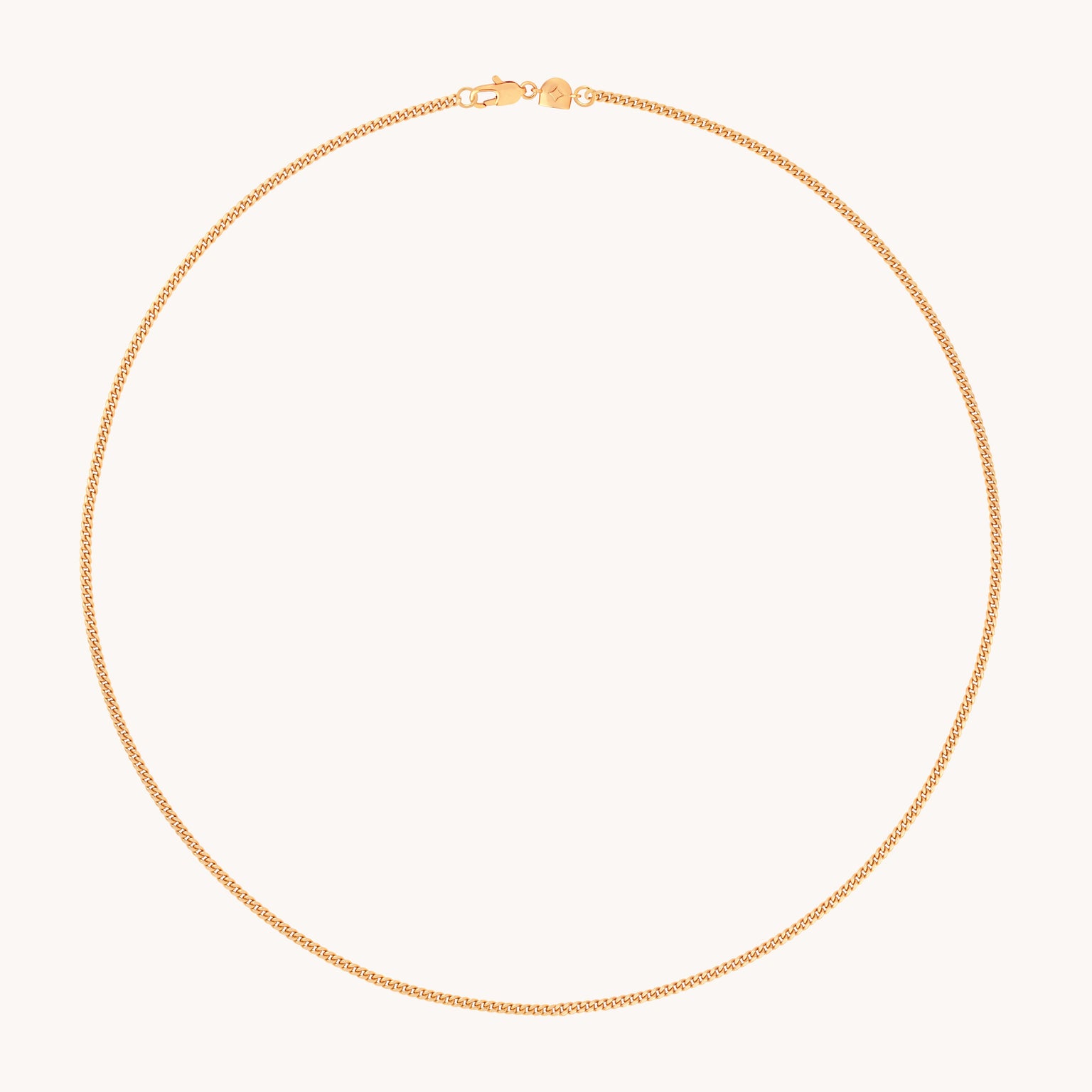 Essential Curb Chain Necklace in Gold