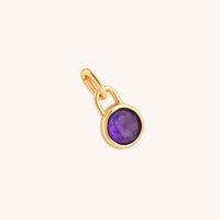 Amethyst February Clip Charm in Gold