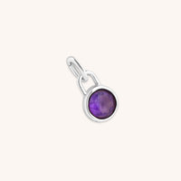 Amethyst February Clip Charm in Silver