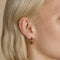 Square Crystal Titanium Daith Hoop in Gold-Astrid &amp; Miyu