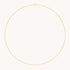 Charm Compatible Necklaces & Bracelets - Astrid Chain Necklace in Solid Gold - - Astrid &amp; Miyu