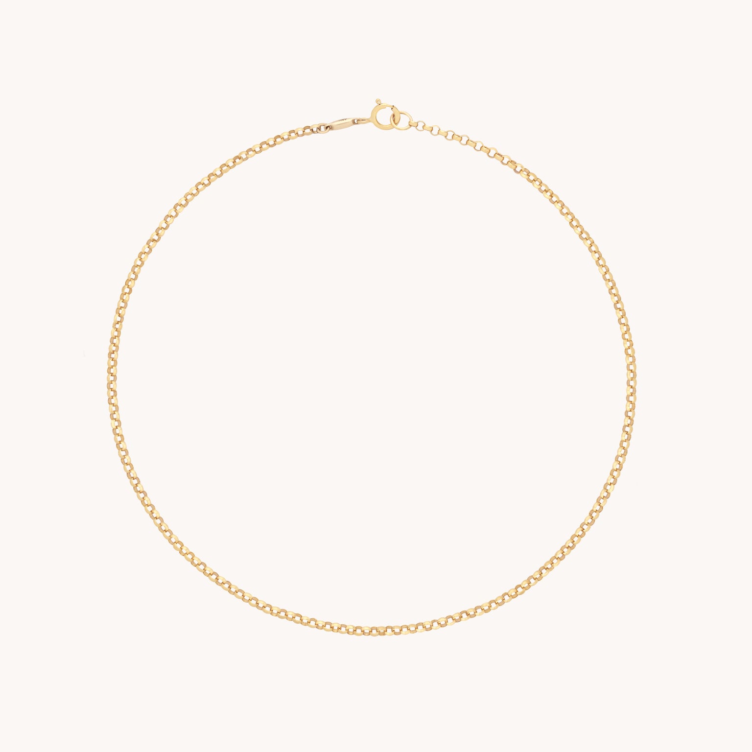 Chelsea Chain Anklet in Solid Gold