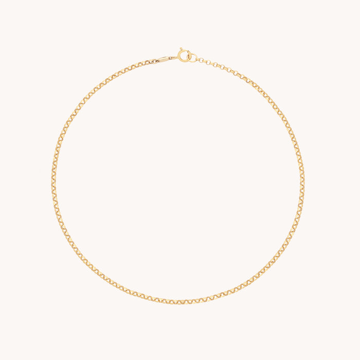 Chelsea Chain Anklet in Solid Gold