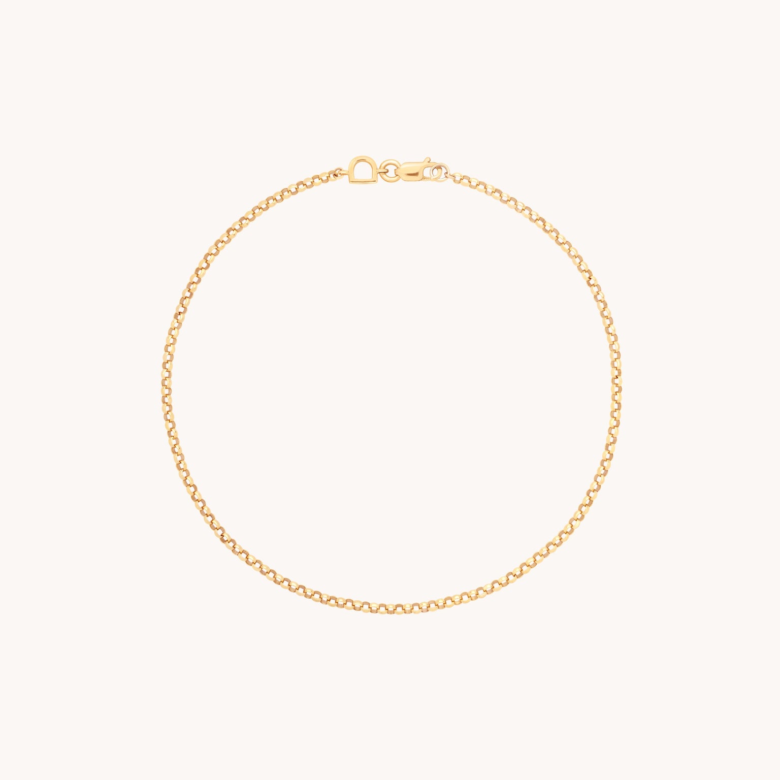 Chelsea Story Chain Bracelet in Solid Gold