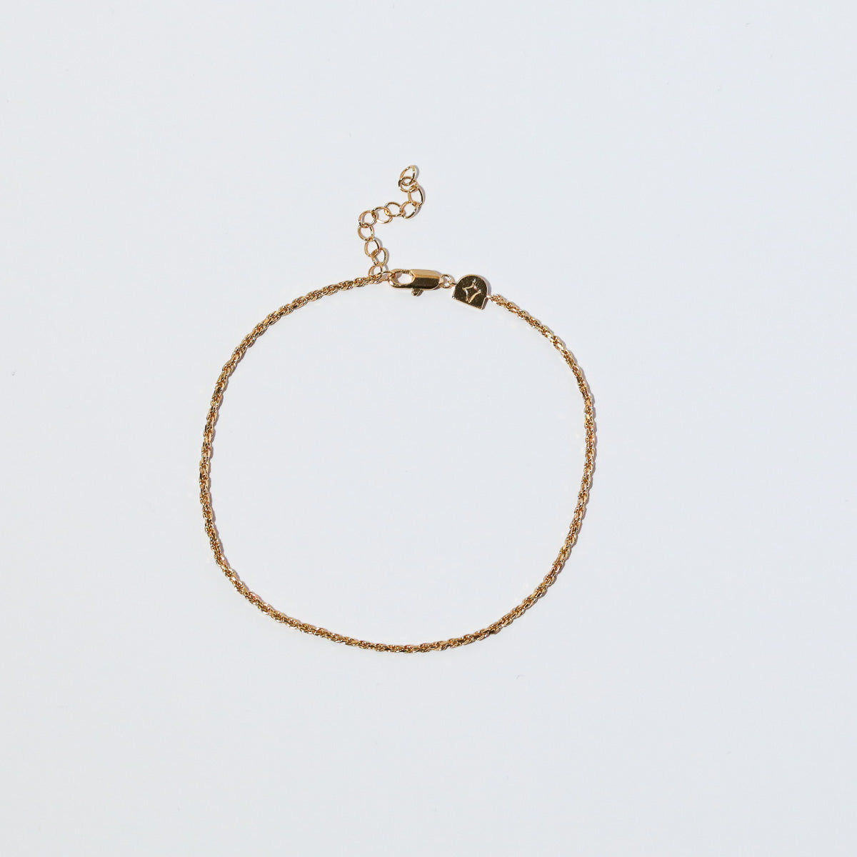 Rope Chain Anklet in Gold flat lay