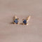 December Birthstone Stud Earrings in Gold with Tanzanite CZ