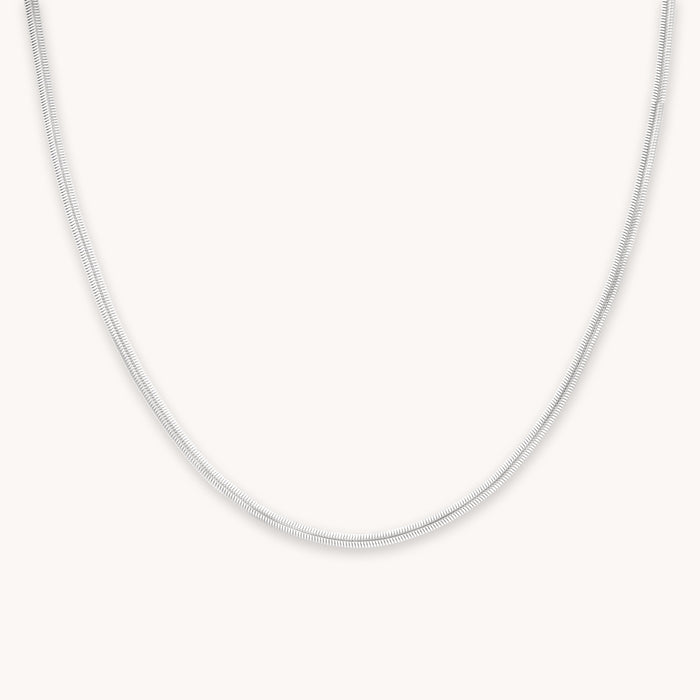 Oval Snake Chain Necklace in Silver